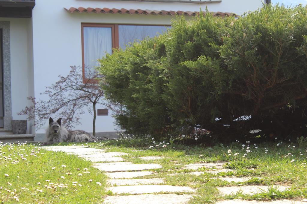 Il Bogno B&B Lierna Exteriér fotografie