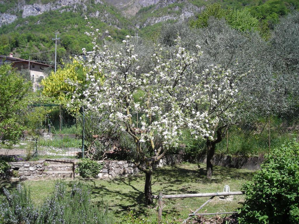 Il Bogno B&B Lierna Exteriér fotografie